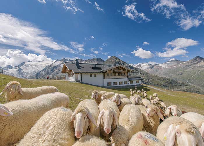 Hohe Mut Genusswanderung Obergurgl